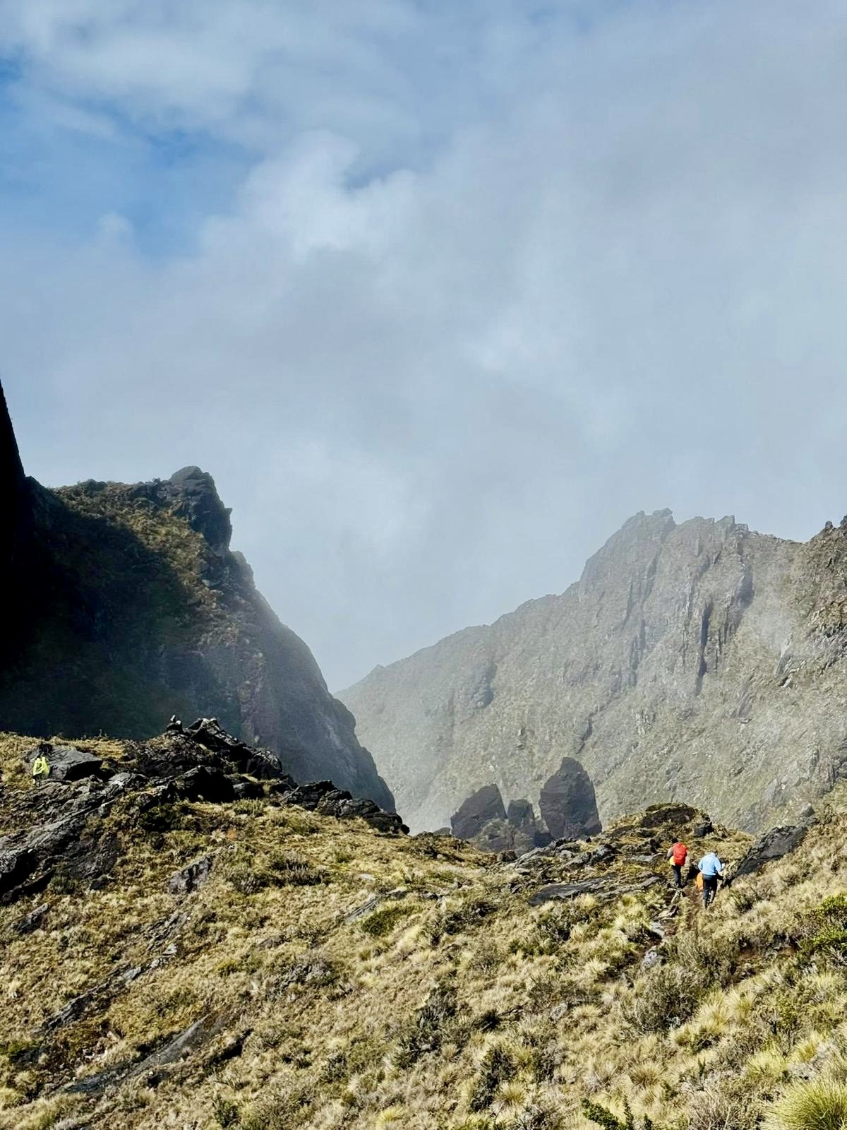 0cad0ba3-86a4-4744-9494-5190016205f1