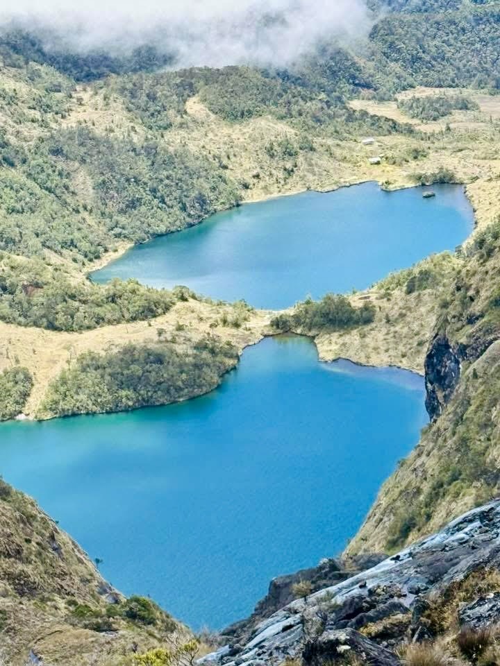 561f0e22-ad22-4702-bec1-e9a157bc7ac9