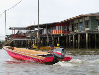 Borneo Sandakan-10