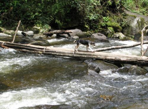 River Crossing-02