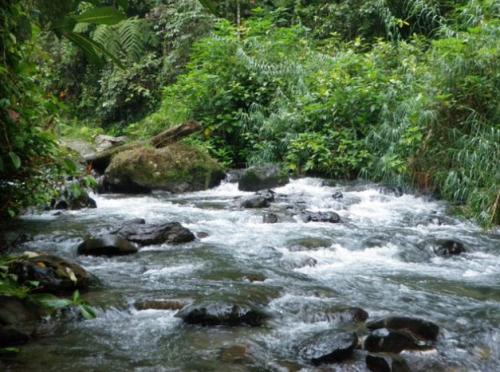 River Crossing-05